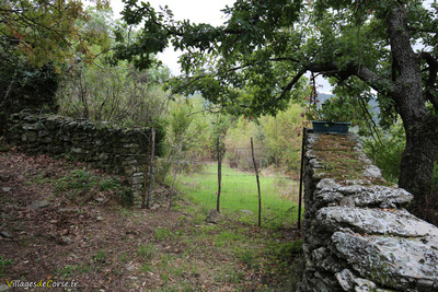 Wegportal Wanderung Pieve - 30/10/2019