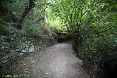 Wanderweg Nebbiu Pieve - 30/10/2019