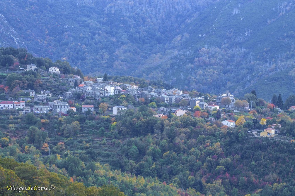 Rutali - Corse