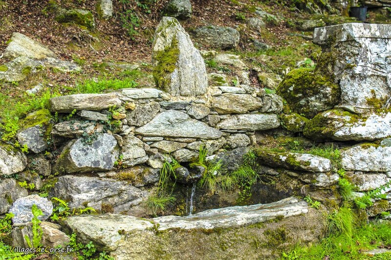 Source Surgente di i Piani à Rutali, le 09/11/2014