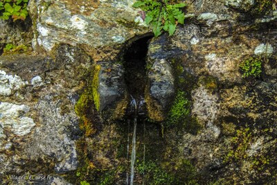 Source Surgente di i Piani à Rutali, le 09/11/2014