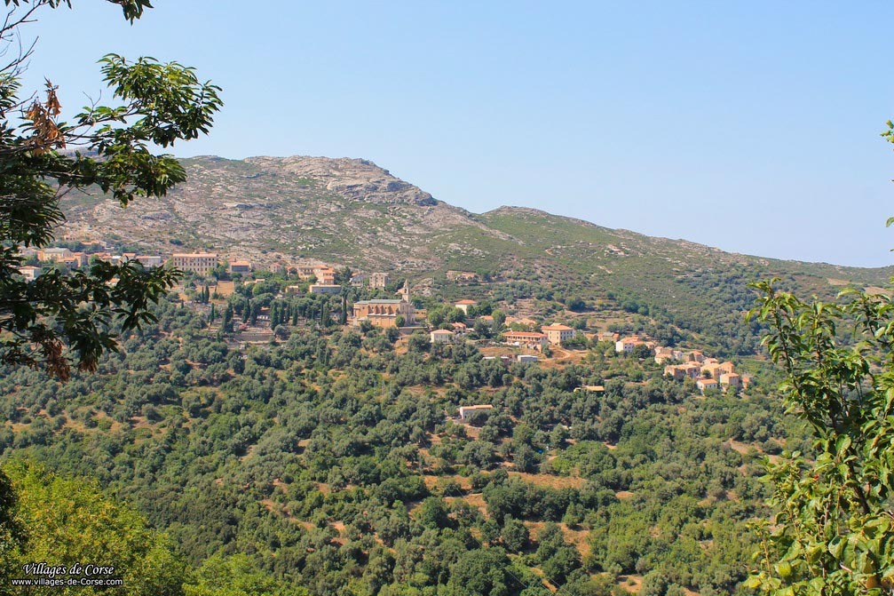 Santo Pietro di Tenda - Corse