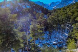 Ruisseau - Viru - Albertacce