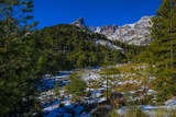 Wald - Albertacce