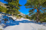 Berg - Albertacce