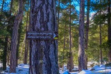 Pointe - Albertacce