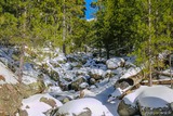 Ruisseau - Viru - Albertacce