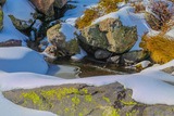 Ruisseau - Viru - Albertacce