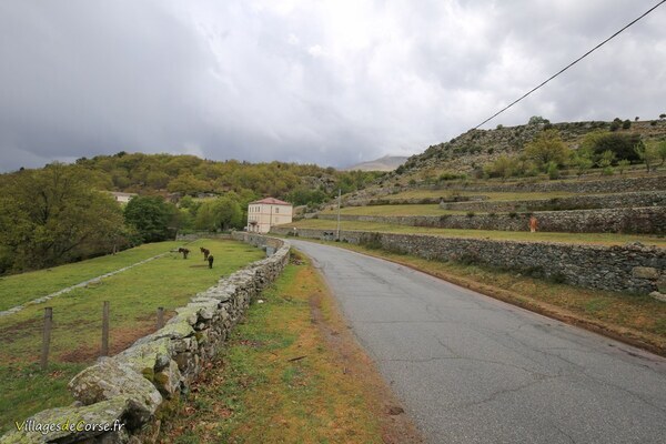 Route - Calacuccia