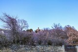 San-Salvadore-Kirche in Corscia, am 16.02.2019