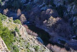 Fluss Golo in Corscia, 16/02/2019