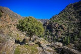 Wanderung Scala Di Santa Regina Niolu - 16/02/2019