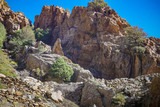 Wanderung Scala Di Santa Regina Niolu Korsika - 16/02/2019