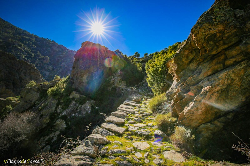 Wanderung Scala Di Santa Regina Niolu - 16/02/2019
