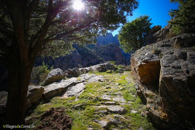Wanderung Scala Di Santa Regina Niolu - 16/02/2019