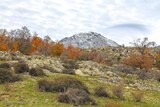 Mountain - Lozzi