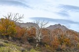 Mountain - Lozzi