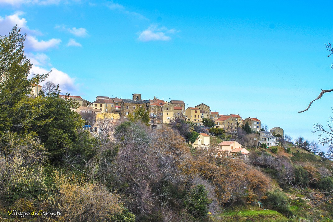 Village - Linguizzetta
