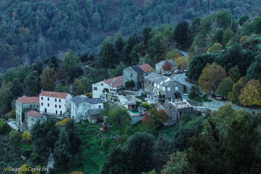 Hameau - Quercetu - Valle d Alesani