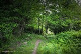 Montagne Zalana - 25/05/2019