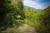 Zalana Mountain - 25/05/2019