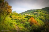 Zalana Mountain - 25/05/2019