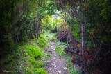 Sentier - Zalana