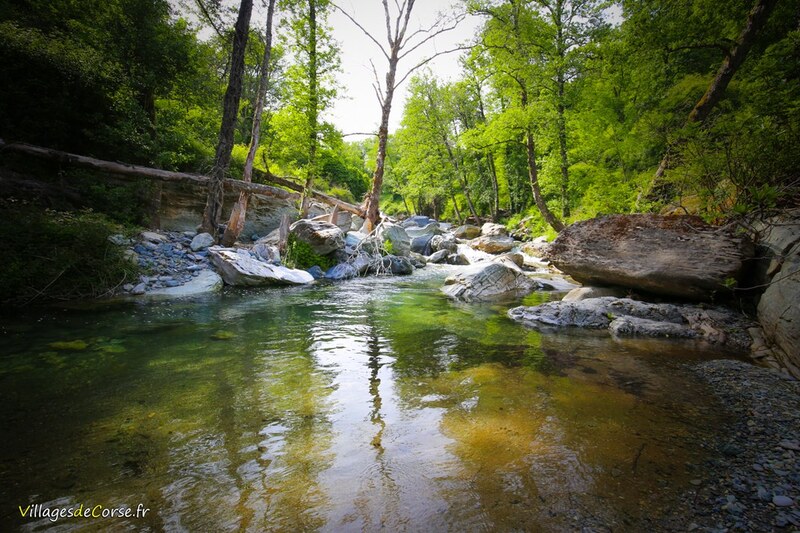Fluss Bravona in Zalana am 25052019