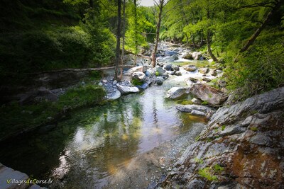 Fluss Bravona in Zalana am 25052019