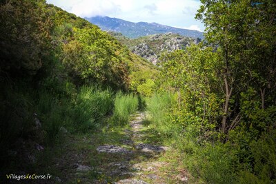 Zalana Mountain - 25/05/2019