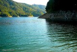 See - Tolla