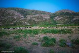 Argiusta Moriccio-Schaf - 06/07/2021