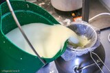 Herstellung von Schafskäse Argiusta Moriccio - 06/07/2021