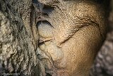 Höhle Ehemaliger Hühnerstall Argiusta Moriccio - 06.07.2021