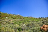 Montagne Randonnee à la Bergerie Argiusta Moriccio - 06/07/2021