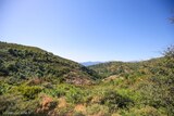 Montagne Randonnee à la Argiusta Moriccio Hirtenhütte - 06/07/2021