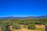 Landschaft Muricciu - 06.07.2021