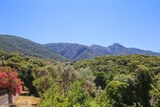 Landschaft Muricciu - 06.07.2021