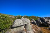 Felsen Argiusta Moriccio - 06.07.2021