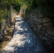 Ruelle Pesta Sale - 06.07.2021