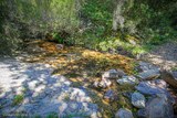 Ciambaldu-Bach, am 06072021