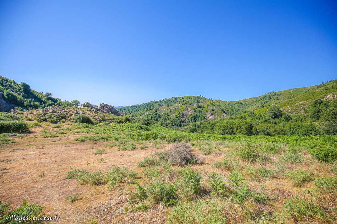 Berg - Argiusta Moriccio