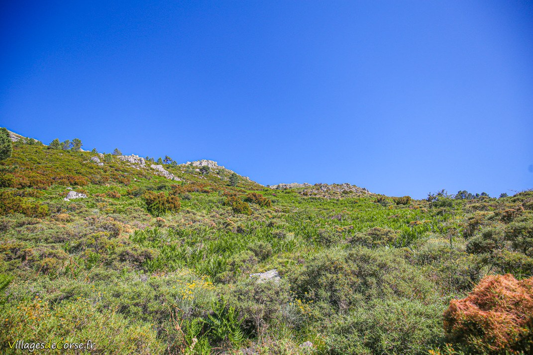 Berg - Argiusta Moriccio