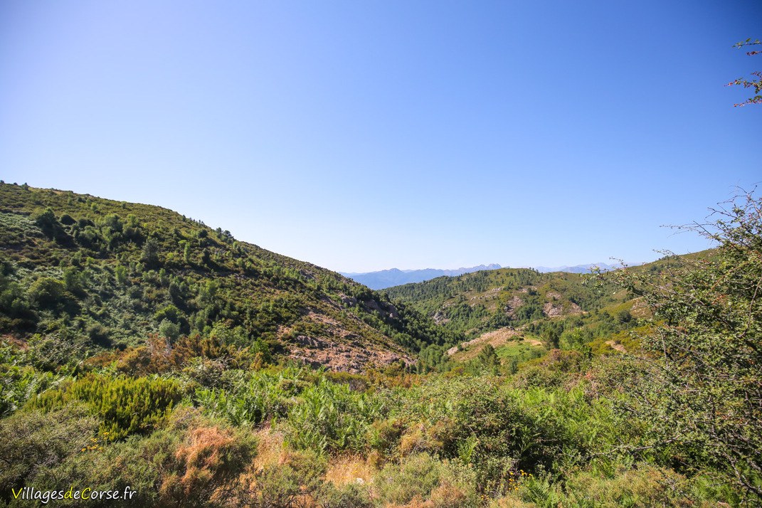 Berg - Argiusta Moriccio