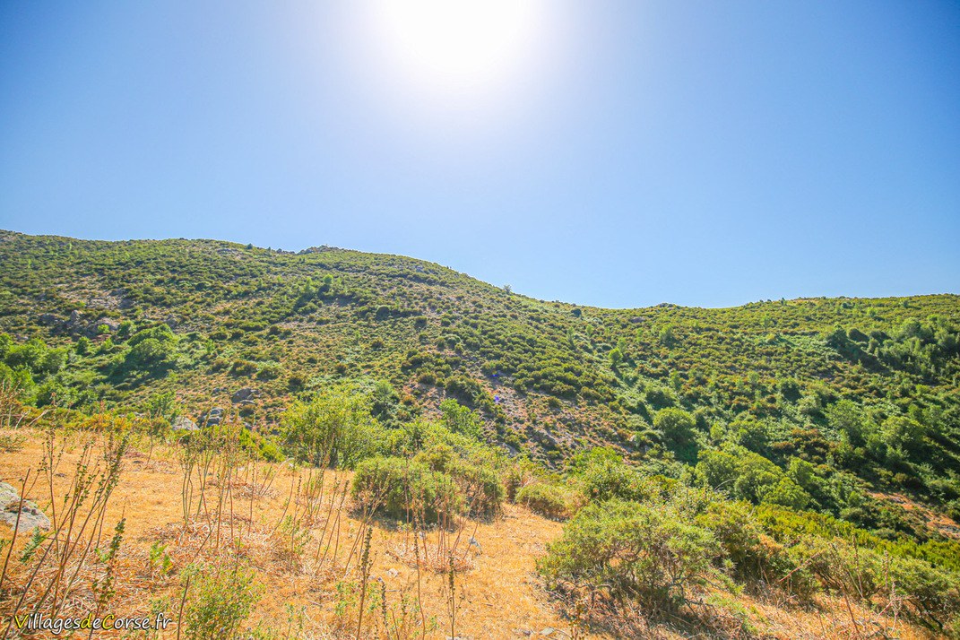 Berg - Argiusta Moriccio
