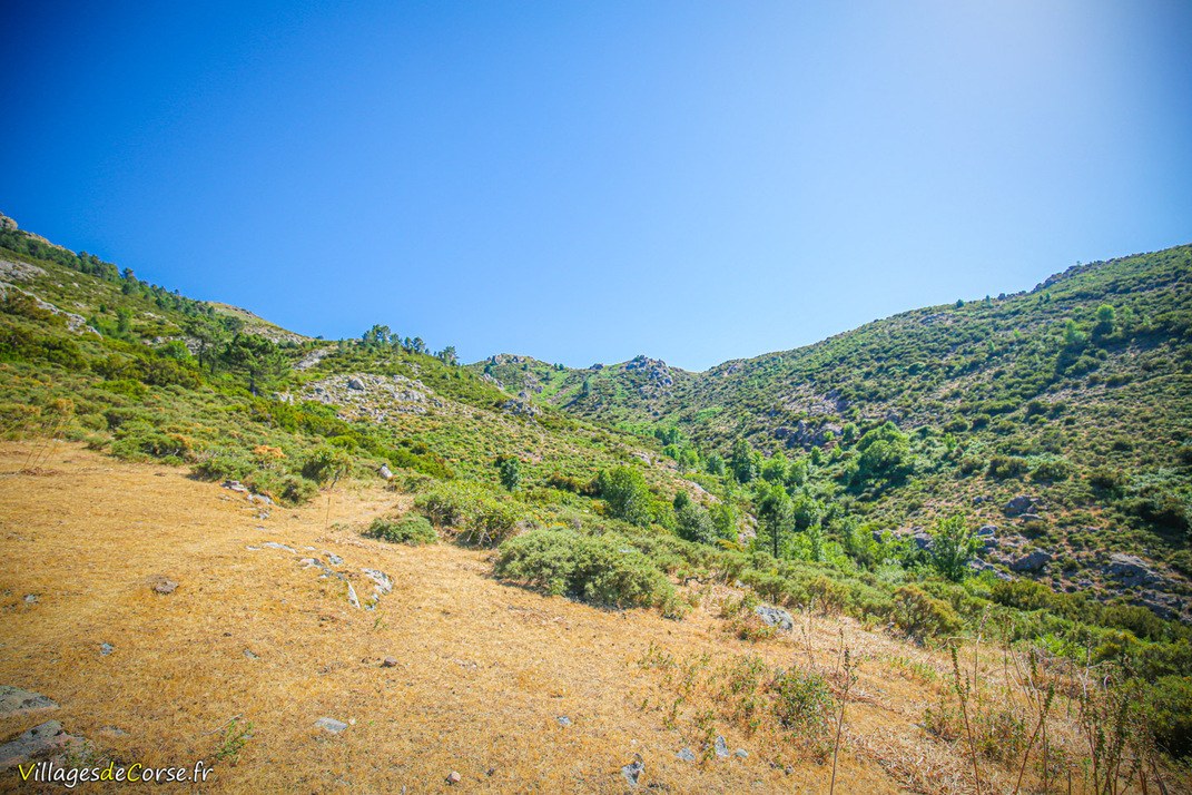 Berg - Argiusta Moriccio