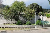 Road - Campo