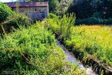 Mill - Cardo Torgia