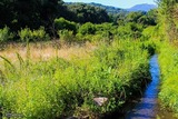 Mill - Cardo Torgia