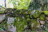 Wall - Cardo Torgia
